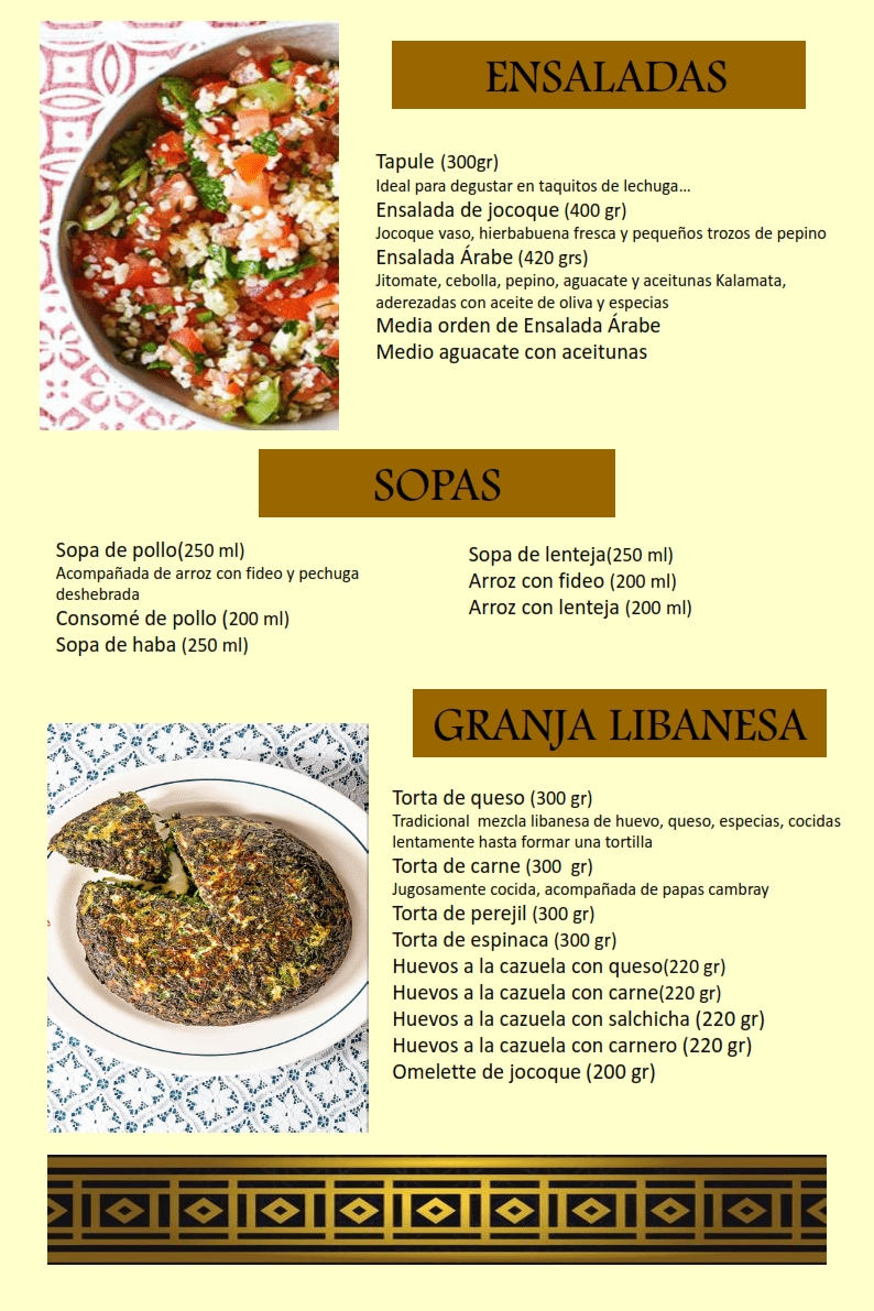 Restaurant Arabe Miguel Menu Photo 6