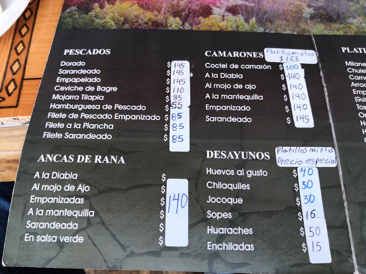 Restaurante La Violeta Menu Photo 5