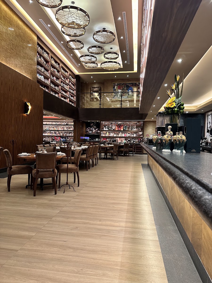 Saks Lomas Photo 3