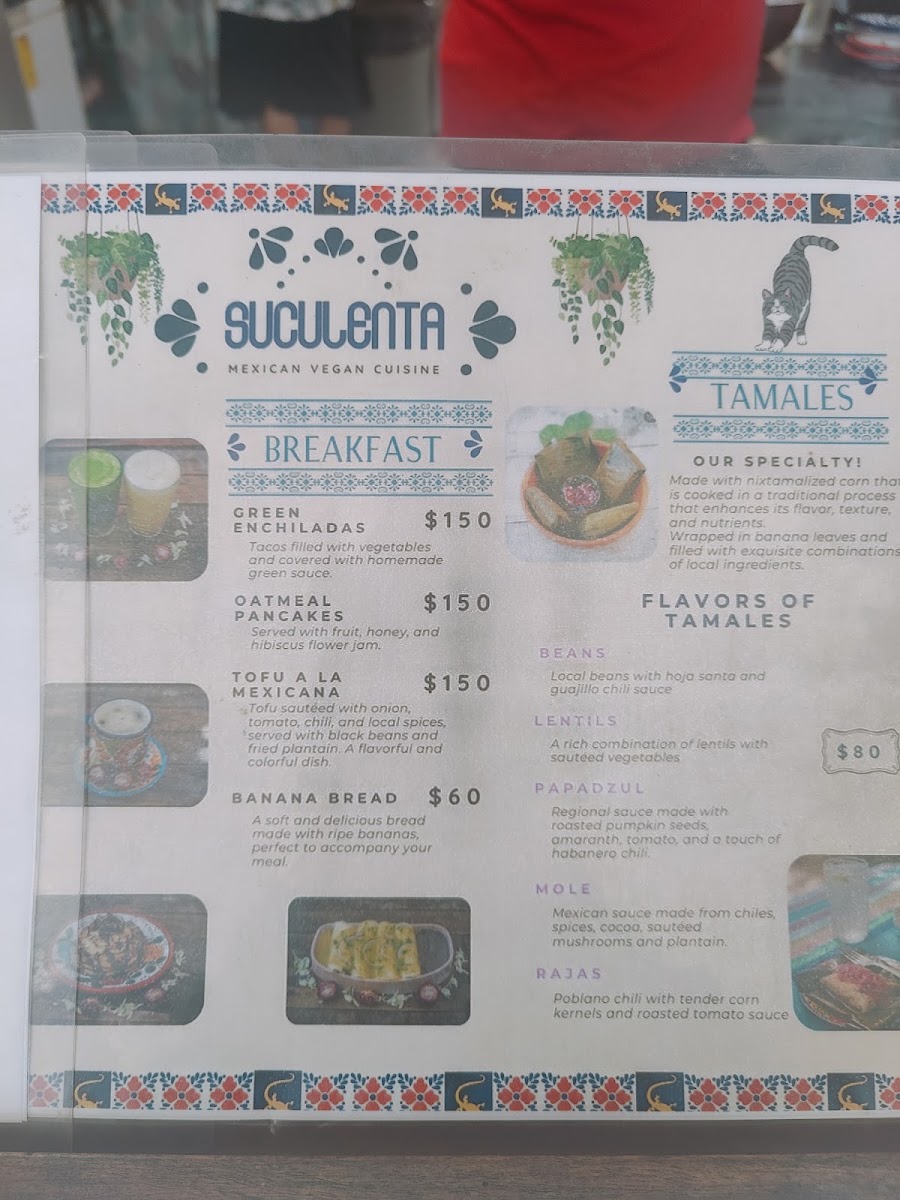 Suculenta Tamaleria Menu