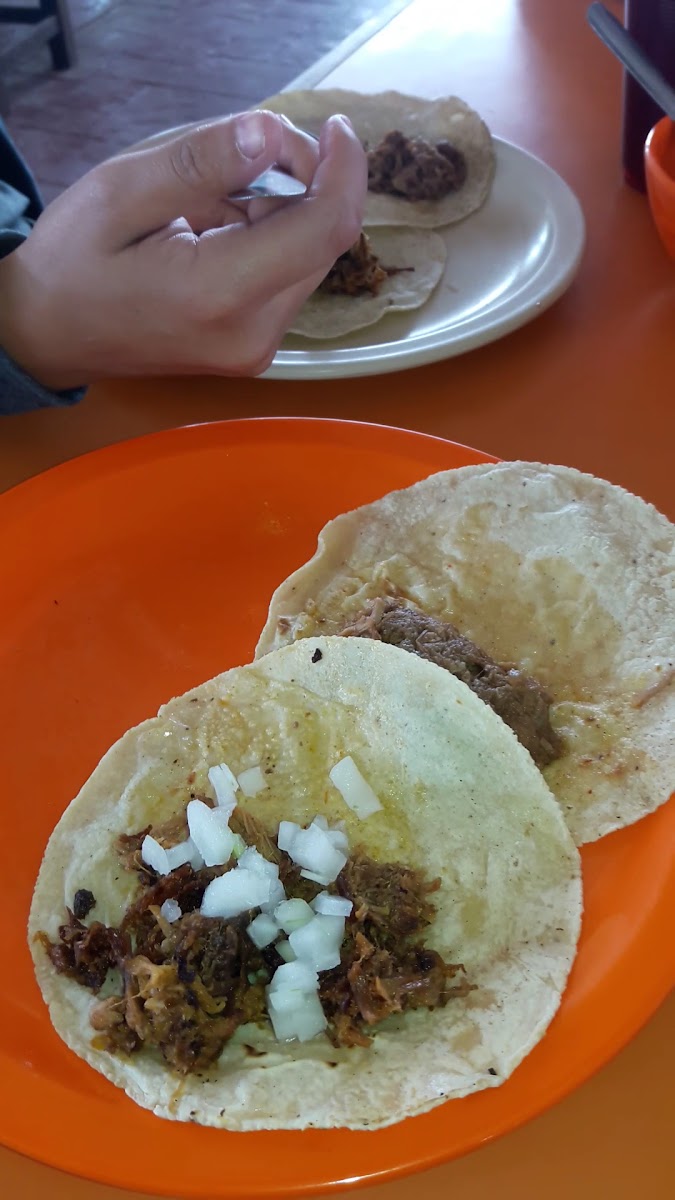 Tacomarin Sucursal 3 Photo 2