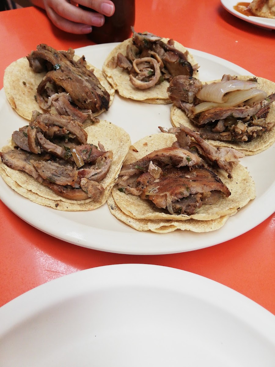 Tacos Árabes Camarones Photo 5