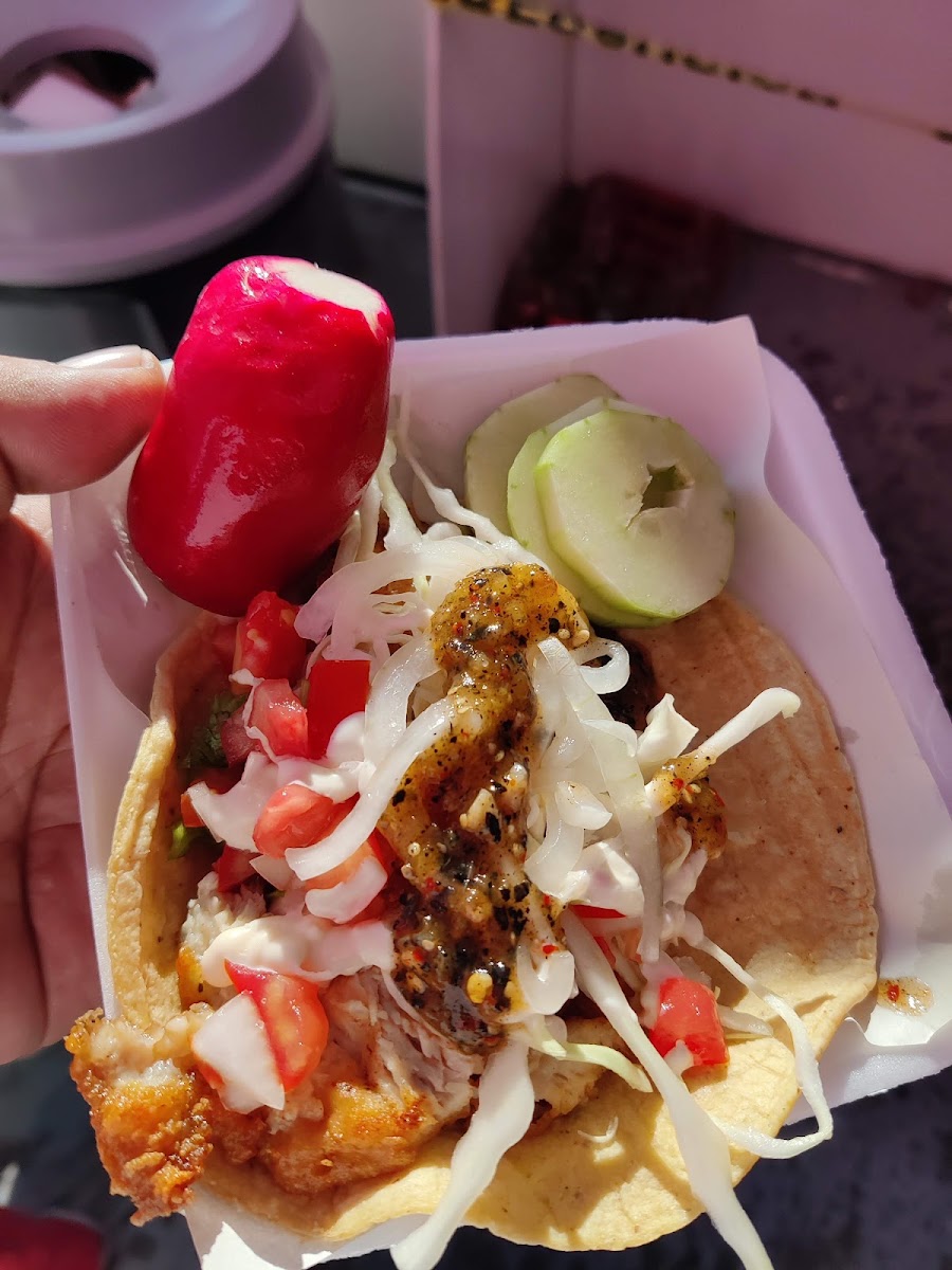 Tacos Castillo Photo 8