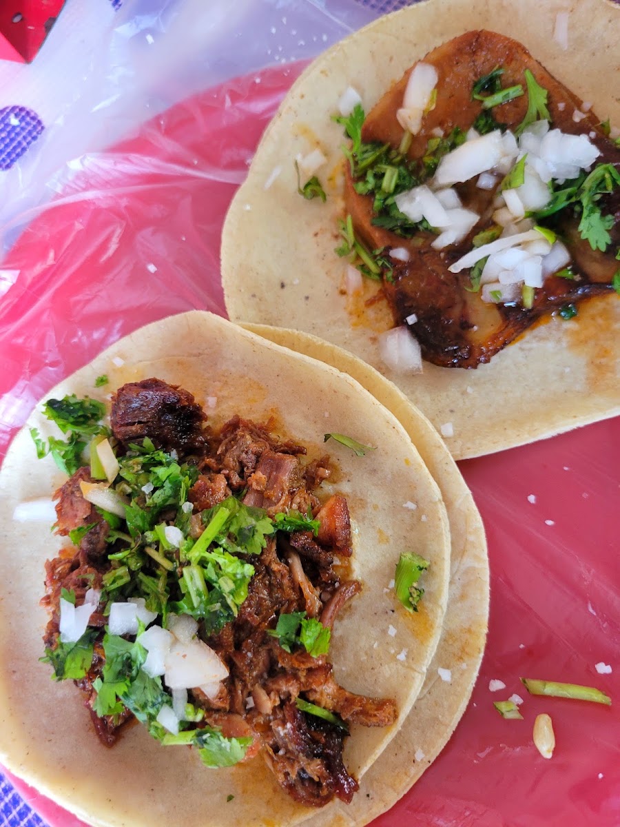 Tacos De Barbacoa El Viejito E Hijos Photo 4