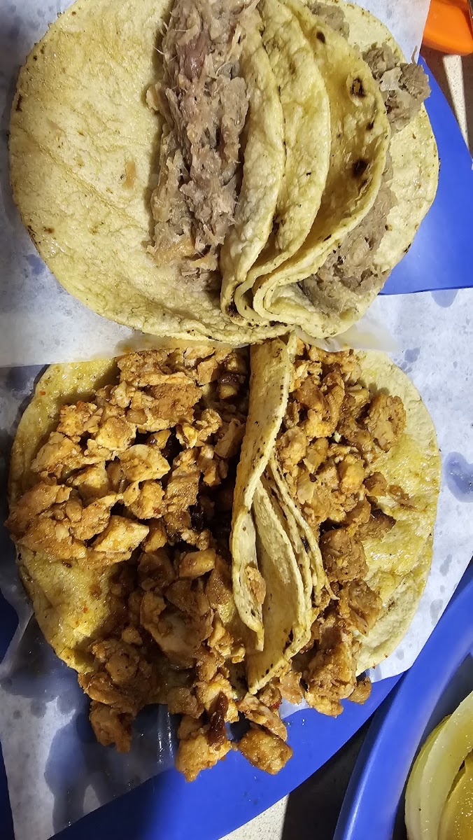 Tacos El Bajito Photo 10