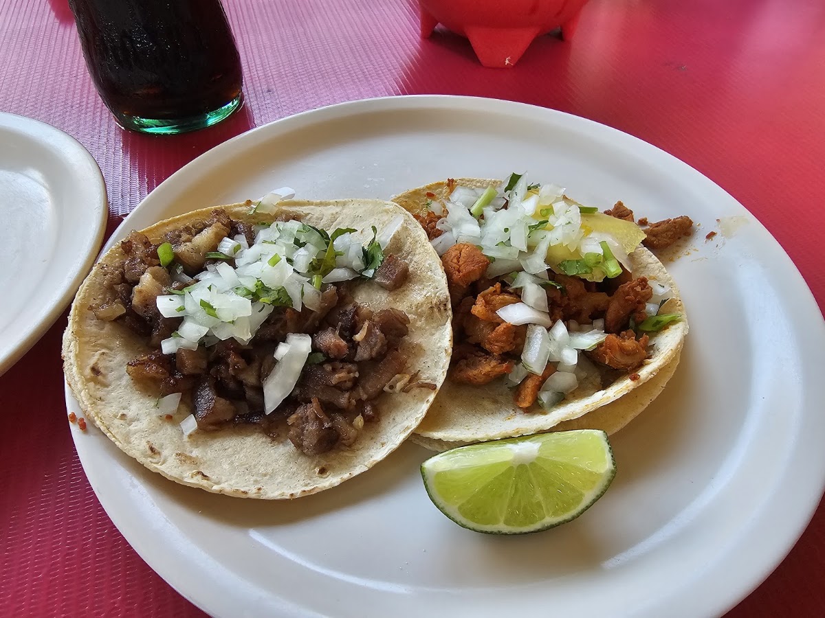 Taqueria El Pique Photo 3