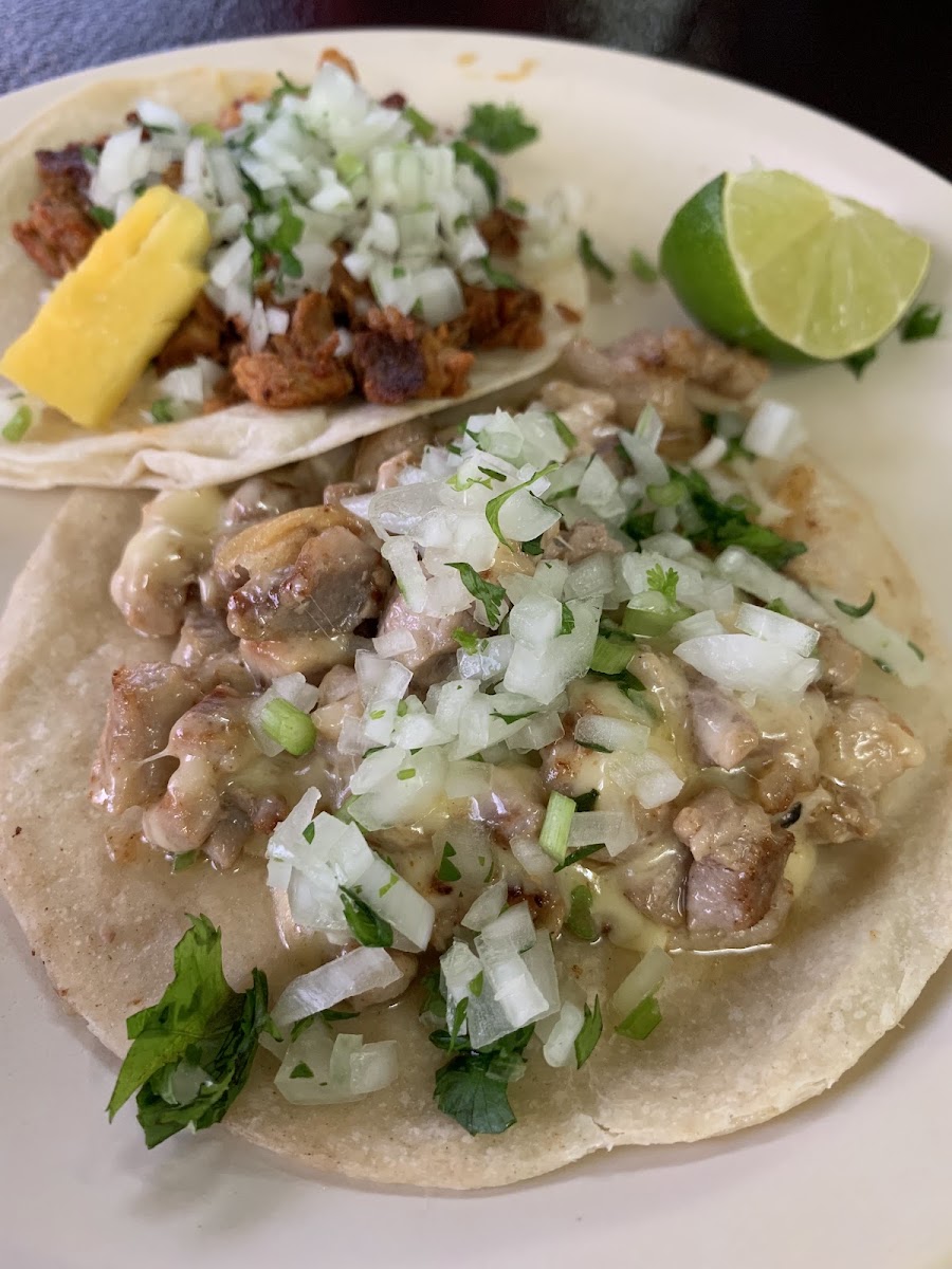 Taqueria El Pique Photo 5