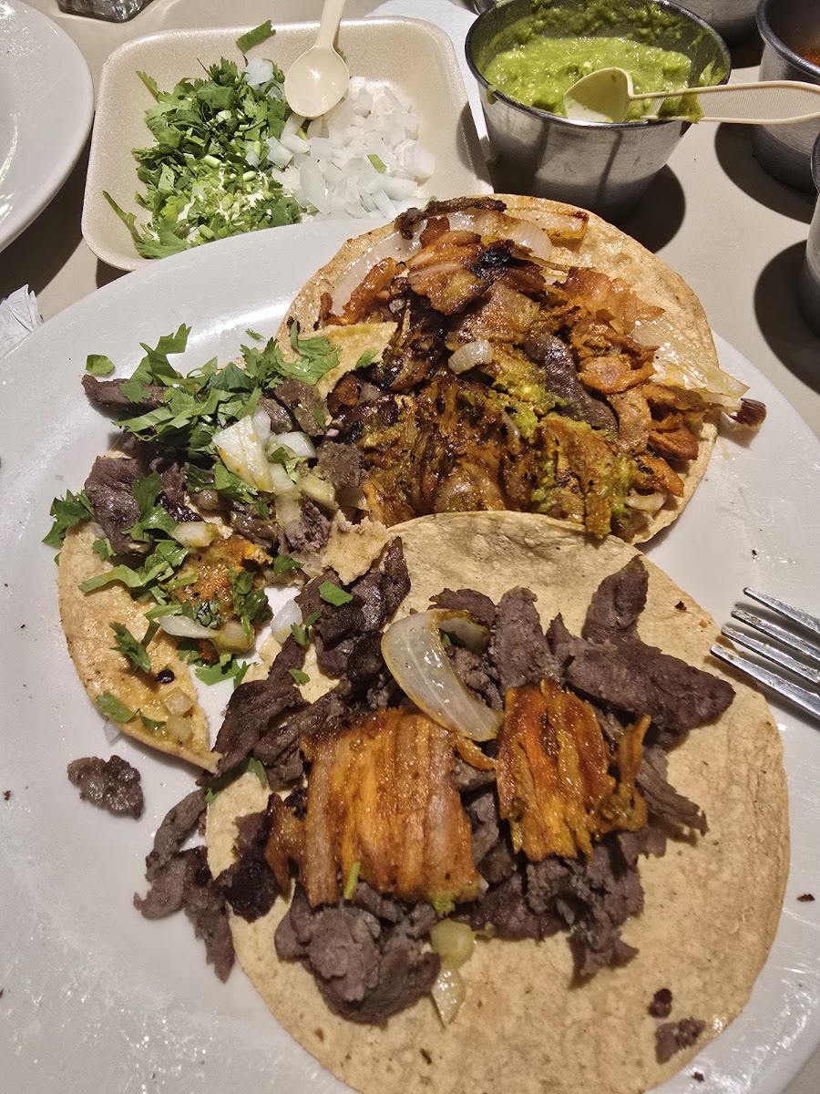 Taqueria Pepe Coyotes Coyoacan Photo 4