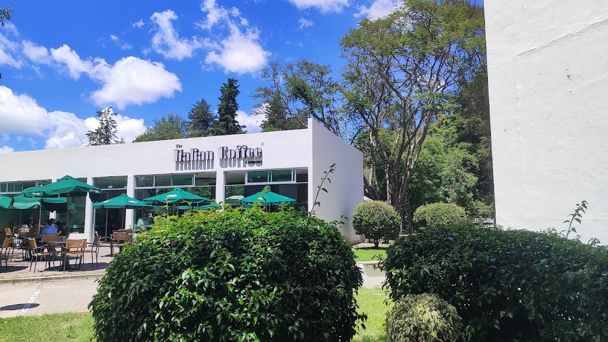 The Italian Coffee Company Photo 4