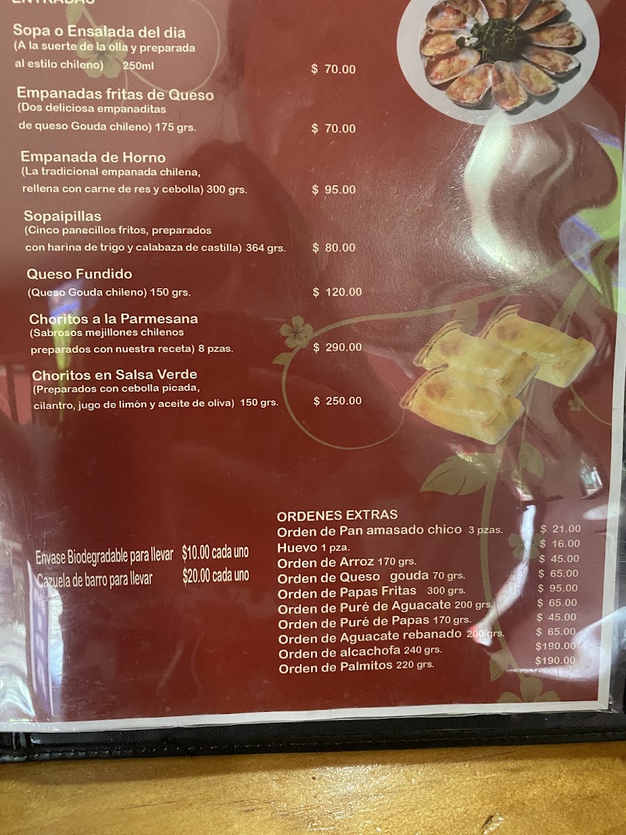 Un Rincon De Chile Menu Photo 2