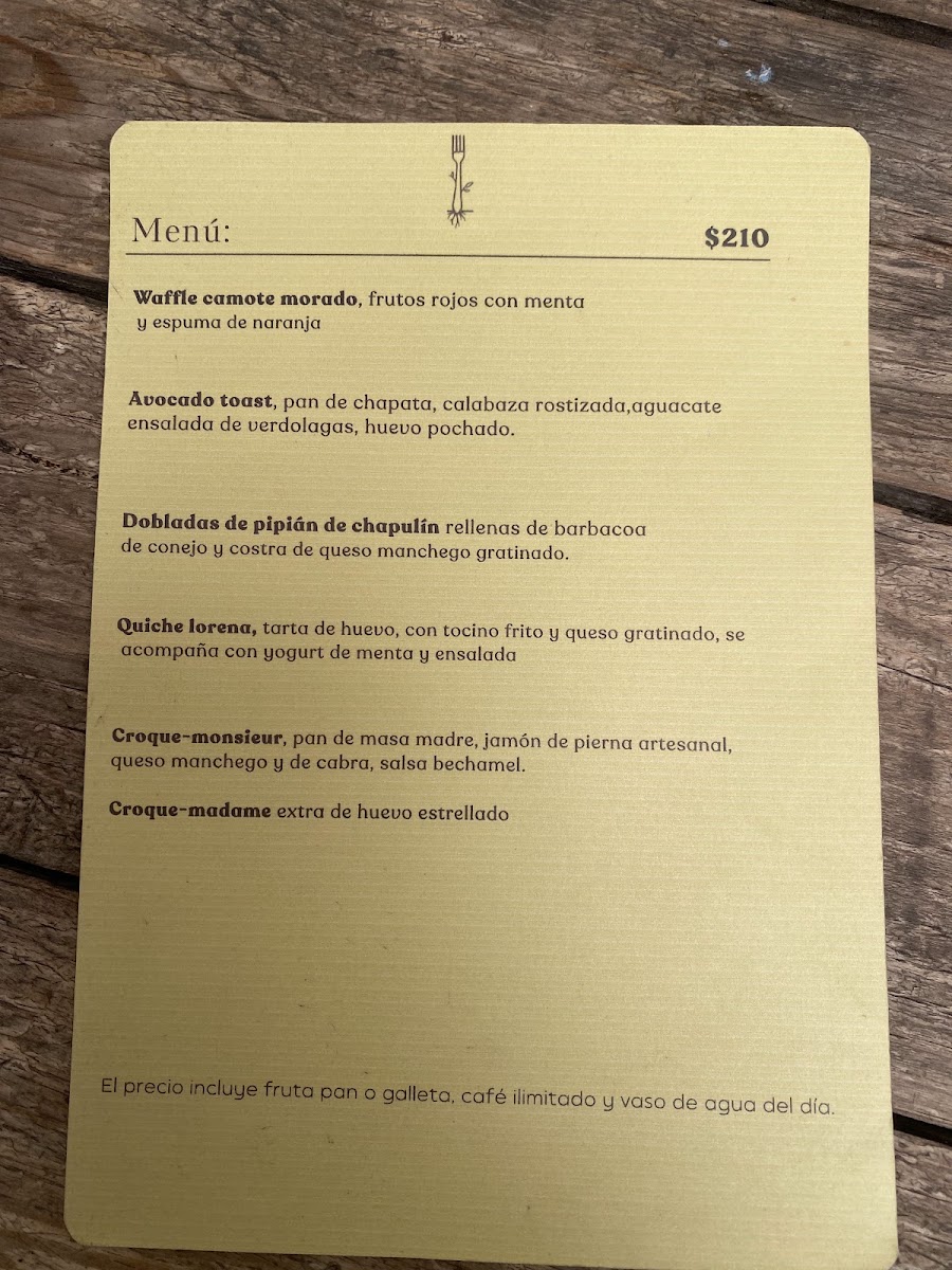 Vica Restaurant Menu
