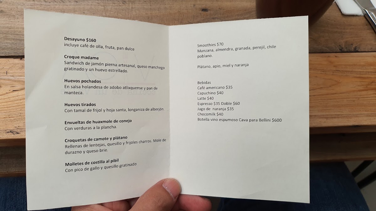 Vica Restaurant Menu Photo 4