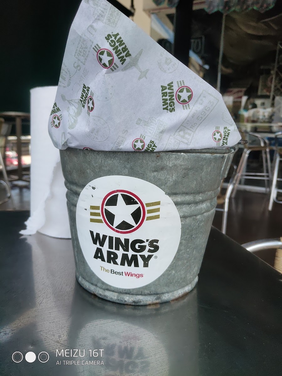 Wings Army Photo 9